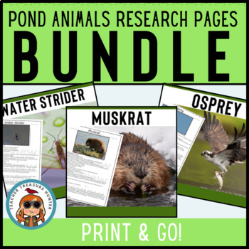 Preview of Pond Animals Research Pages Bundle for reading and writing pond wetlands reports