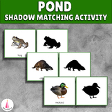 Pond Animals Visual Discrimination Activity (shadow matching)