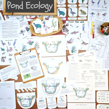 Preview of Pond Ecology Unit: printables, worksheets, and activities for studying the pond!