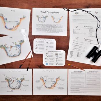 Preview of Pond Ecosystem Project: field trip worksheets, reflection, and handouts