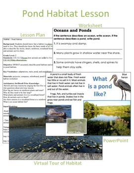 Pond Habitat Lesson and Power Point by Simple and Sweet Creations
