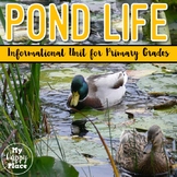 Pond Habitat Unit - Slideshow & Writing Activities - Pond 