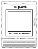 Pond KWL and Picture FREEBIE