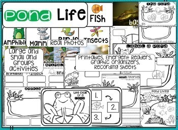Pond Life by Kindergarten Rocks | Teachers Pay Teachers