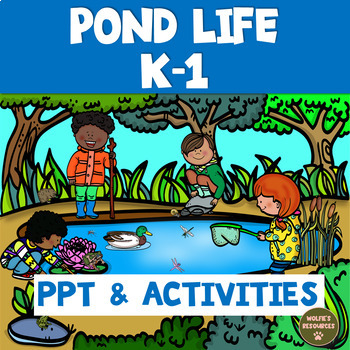 Preview of Pond Life Activities For Kindergarten | First Grade | Animals Plants Habitats