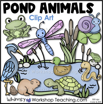 ecosystem of pond picture clipart