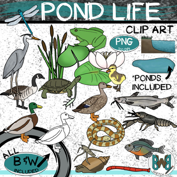 pond clip art