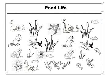 https://ecdn.teacherspayteachers.com/thumbitem/Pond-Life-Cut-Paste-or-Tape-and-Color-Preschool-Activity-1-hour-duration-9258478-1679767248/original-9258478-3.jpg