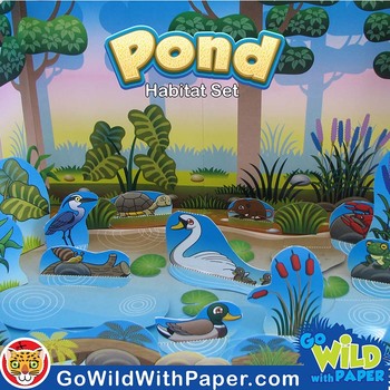 ponds biome projects shoe bow