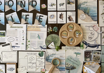 Preview of Pond Life Nature Study Unit