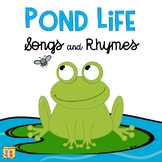 Pond Life Circle Time Songs and Rhymes, Frog Life Cycle, P
