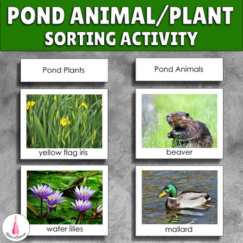 Preview of Pond Sorting Activity - Animal or Plant