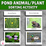 Pond Sorting Activity - Animal or Plant