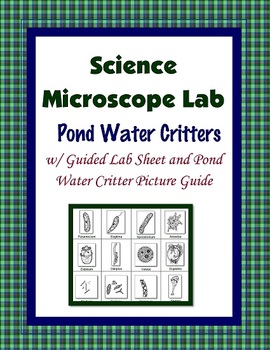 Pond Water Critter Scavenger Hunt Hands-on Lab by RoxyGirl Teacher