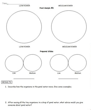 Microbes - Pond Water Microscope Activity/Lab by Miss Middle School Teacher