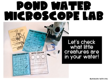 Preview of Pond Water Microscope Lab Activity