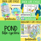 Pond animal life cycles foldable activity bundle for frog,