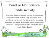 Pond or Not Science Table Activity