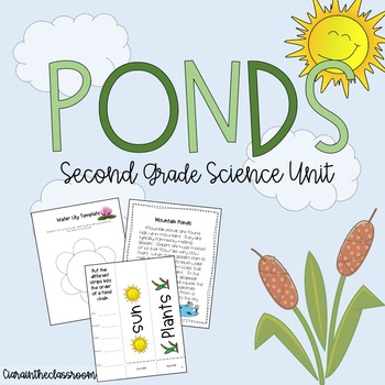 Preview of Ponds Worksheets