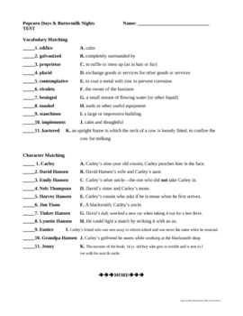 Preview of Popcorn Days & Buttermilk Nights by Gary Paulsen TEST Final Exam