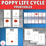 Poppy Flower Activities Montessori Life Cycle of a Plant