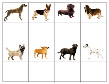 Dog breed hot sale finder match