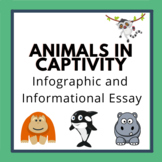 Animals in Captivity: Infographic & Informational Essay Unit