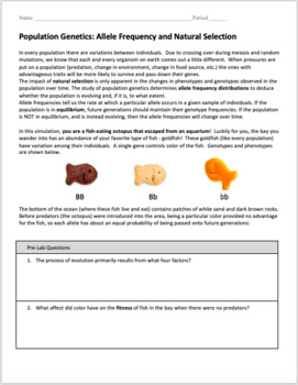 Population Genetics: Allele Frequency and Natural ...