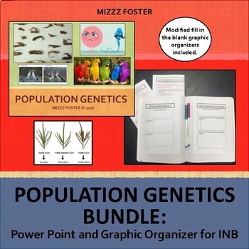 Preview of Population Genetics Bundle: PowerPoint & Differentiated Graphic Organizer Notes