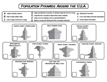Population Pyramids: A U.S.A. Study *Matching Worksheets* by The Human