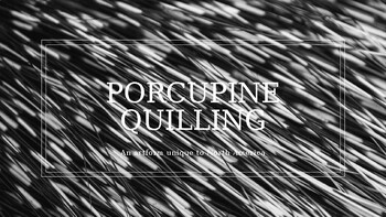 Preview of Porcupine Quilling