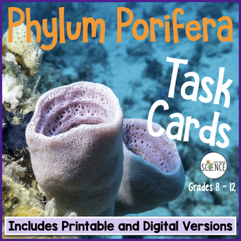Preview of Phylum Porifera Sponges Task Cards