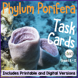 Phylum Porifera Sponges Task Cards