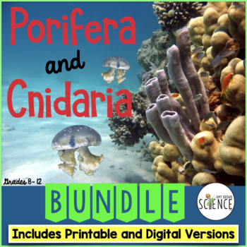 Preview of Phylum Porifera and Phylum Cnidaria Bundle