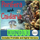Phylum Porifera and Phylum Cnidaria Bundle