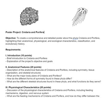 Preview of Porifera and Cnidaria Poster Project