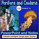 Phylum Porifera and Phylum Cnidaria Powerpoint
