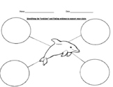 Porpoise in Peril problem and details Graphic organizer