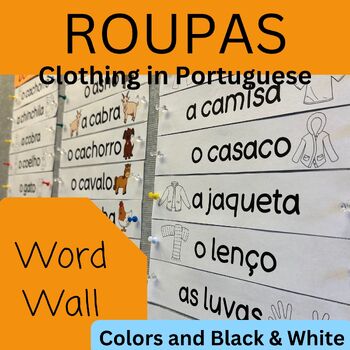 Preview of Portuguese Clothing Word Wall