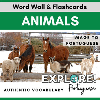 Preview of Portuguese | EDITABLE Animals Word Wall & Vocabulary Flashcards