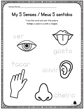Preview of Portuguese & English : Five Senses