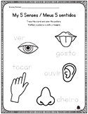Portuguese & English : Five Senses
