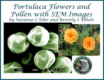 Preview of Portulaca Pollen and Flower Images for Printable Pages and Digital Viewing