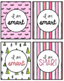 Positive Affirmation Cards & Posters + Colorful + Editable