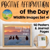 Positive Affirmation of the Day with Posters, Slides, & Jo