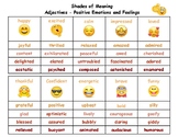 Positive and Negative Emotions/Feelings Shades of Meaning