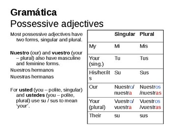 Possessive Adjectives by World of Languages | TPT
