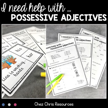 Preview of Possessive Adjectives Worksheets and Task Cards