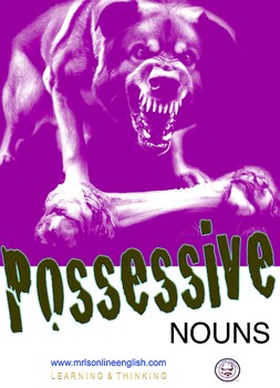 Preview of Possessive Nouns Booklet