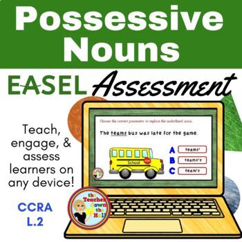 Preview of Possessive Nouns Easel Assessment - Digital Nouns Activity